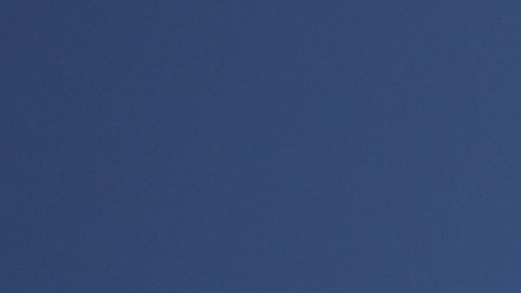 Avión de Alaska Airlines.