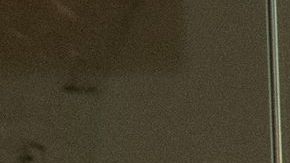 Nick Cordero, su esposa Amanda Kloots y su hijo de un año.