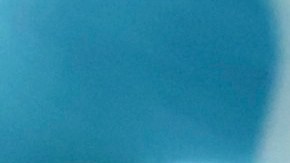 Ryan Reynolds ofrece $5,000 dólares para encontrar un oso de peluche que reproduce un mensaje de una madre antes de morir