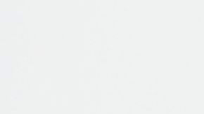 Costco anuncia la apertura de 5 sucursales