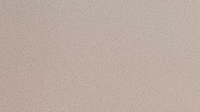 Varios laboratorios intentan encontrar una vacuna contra COVID-19.