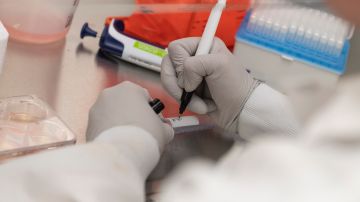 Varios laboratorios intentan encontrar una vacuna contra COVID-19.