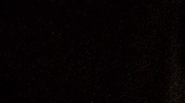 Agentes de la Patrulla Fronteriza escoltan a peticionarios de asilo.