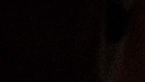 Agentes de la Patrulla Fronteriza escoltan a peticionarios de asilo.