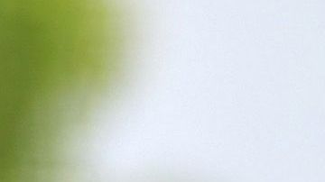 El pelotero Travis Shaw ha manifestado su desacuerdo a las medidas del equipo.