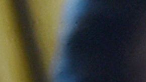 Enviar más dinero a los contribuyentes podría convenir electoralmente a Trump.