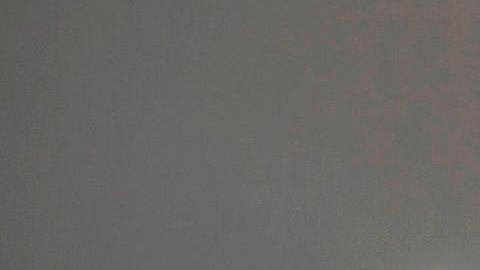 Por qué los precios del oro y la plata se encuentran en niveles históricos, podría reflejar el inicio de la recuperación económica