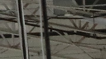 Un hombre pierde su trabajo en Florida cuando un video se hace viral por no usar cubrebocas en Costco