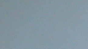 Los encuestadores domiciliarios estarán claramente identificados con estos logos.