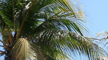 Vista exterior del hotel Clevelander de South Beach.
