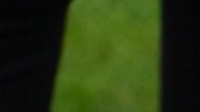 Miles de inquilinos en todo el país enfrentan problemas para el pago de renta.