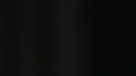 Ayuda económica Senado trabajadores Kamala Harris propuesta legisladores desempleo ingresos