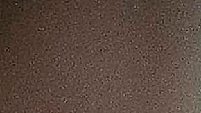 El congresista por Missouri Josh Hawley fue insultado por el comunicador.