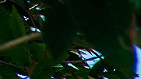 Familia Navajo en Arizona.