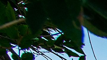 Familia Navajo en Arizona.