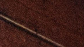 La industria de bares ha sido de las más afectadas por la pandemia.