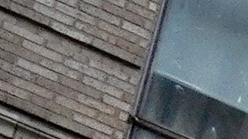 El mural de BLM irá en la Quinta Avenida.