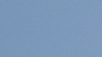 La multitud en la playa de Jacksonville no respeta el distanciamiento social.