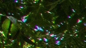 Muerte de Robert Fuller en Palmdale