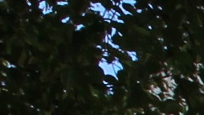 Ayuda economica cheque de estimulo dinero pobreza Estados Unidos desempleo