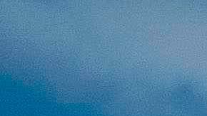 Navidad se entregó en 2017 ante las autoridades migratorias de EE.UU.