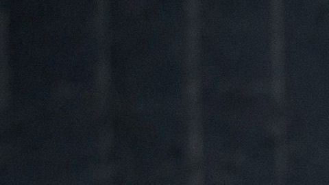 Trump firmó la semana pasada la milla 200 del muro fronterizo físico.