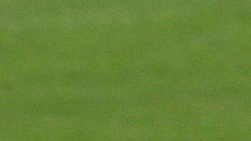 Lionel Messi lamentándose.