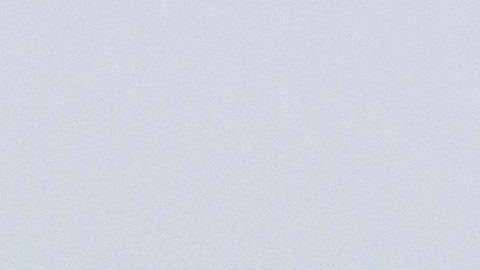 Una gaviota y la playa en Newport Beach. El 3 de julio el lugar fue caótico.