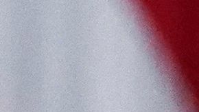 Solo el Congreso -y no el presidente- puede aprobar un nuevo cheque de estímulo.