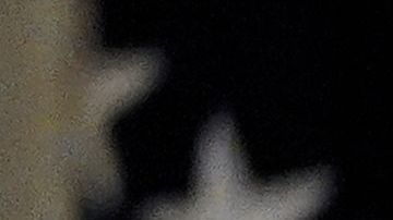 La imagen de Ivanka Trump con la lata de frijoles superó los 25,000 likes en menos de una hora.