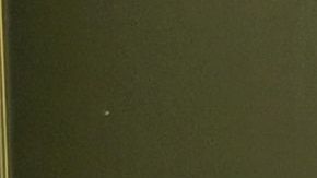 Empleado McDonald's atropellado después de discutir por orden equivocada altercado