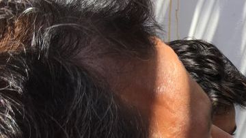 Las alcantarillas se han convertido en una fuente de relevante material de estudio científico.