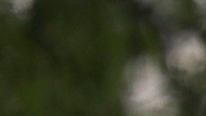 La escuelas reabrirán en Florida.