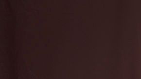 Logo de los Washington Redskins.