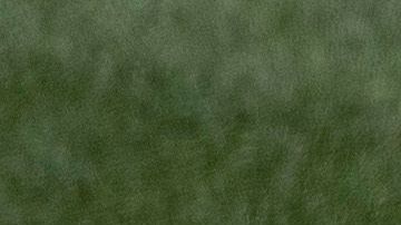 Didi Gregorius jugará todo el tiempo con la mascarilla.