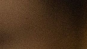 Los Blue Jays han encontrado casa para la temporada 2020.