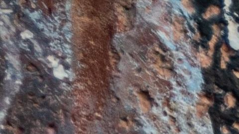 La imagen de Vanessa Guillén en una vigilia en Austin.