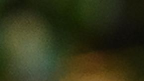 El último mitin de Trump (en Tulsa) fue visto como un fracaso de campaña.