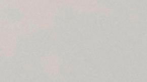 100 científicos solicitan a voluntarios exponerse a la COVID-19 para realizar pruebas de vacunas