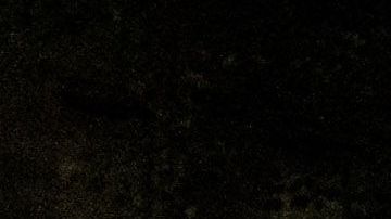 Agencias federales de la ley están deteniendo manifestantes en Portland.