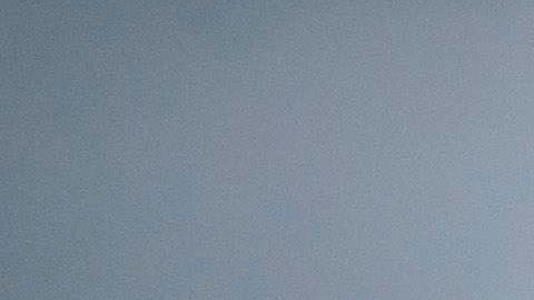 La mujer estaría resguardada en el consulado de China en San Francisco.