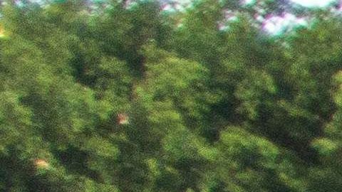 La policía arrojó contra el suelo a un hombre y a una mujer.