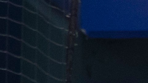 Miami-marlins-Coronavirus