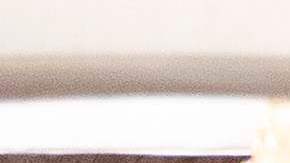 La familia de Vanessa Guillén se reunió con el presidente Donald Trump.