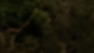 Concierto de música cristiana con distanciamiento social en Franklin, Tennessee.