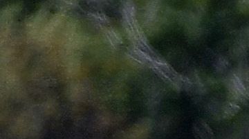 El Juego de Estrellas de las Ligas Mayores no se cancelaba desde 1945.