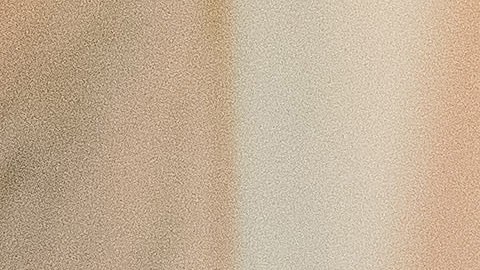 AMLO y Donald Trump antes de la cena.