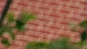 Las autoridades neoyorquinas han instado a los residentes a usar mascarillas y mantener el distanciamiento social, como una forma de mantener la pandemia en control.
