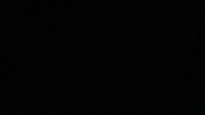 Sporting-Kansas-City-Alan-Pulido