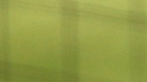 Gabe Kapler se unió a las manifestaciones antirracistas.